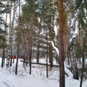 Омская область База отдыха Русский лес