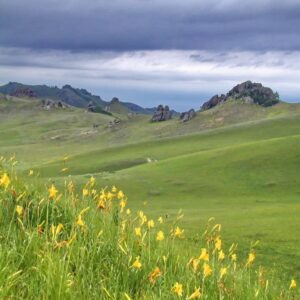 Даурский заповедник